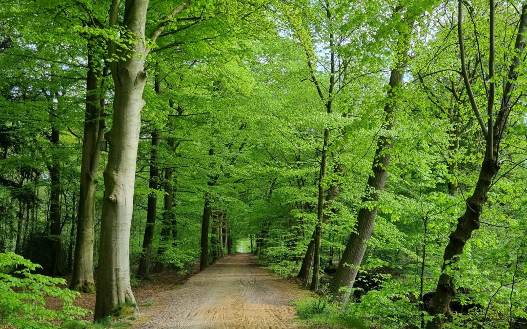 StadtLandzuFuß gestartet