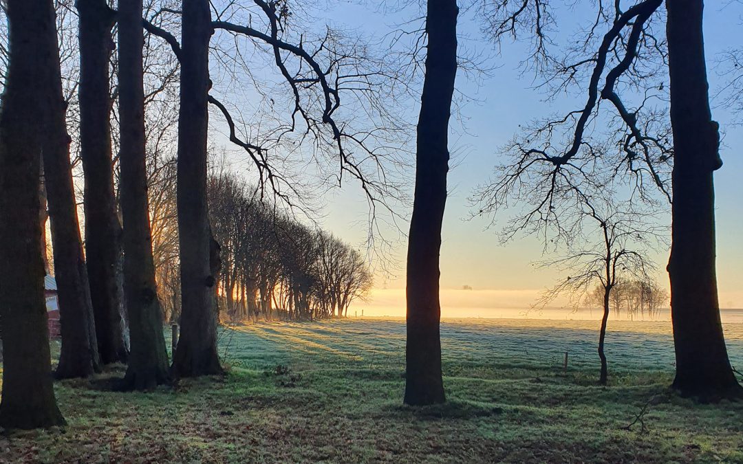 Stadt Land zu Fuss –  Das ist das Motto